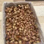 برني العيص