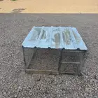 شبك دجاج