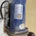 دينمو شمسان الاصليه