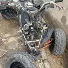 يا ماها رابتر 2010 تشليح