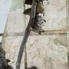 وبران للبيع