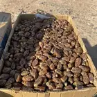 لبيع تمر عادي العدد85كرتون