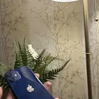 IPhone 12 mini blue ايفون 12 ميني ازرق