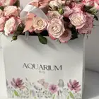 تصوير منتجات   مقاطع فيديو ugc