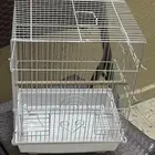 الحويه  مثمله