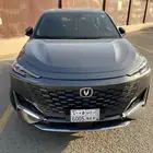 شانجان يونى كى 2024