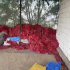 اكياس بصل جديده