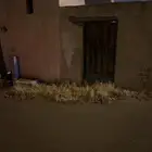 طين للاجار