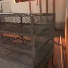 شبك