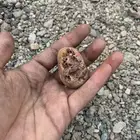 احجار مميزه