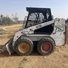 بوب كات للبيع
