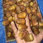 تمر سكري ملكي خراف اليوم