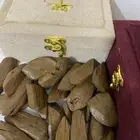 عود مروكي محسن