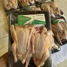 زغاليل حمام فرنسي