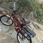 سيكل عنبي
