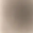 استقبل طيور تبني وارانب