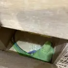 جوز دره