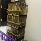 اقفاص نقل   مشربيات  اكلات