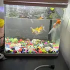 حوض سمك للبيع