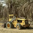 شيول  ول و