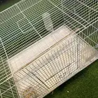 قفص حيوانات الطيور كبير تنفع للفرد او ازواج