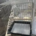 اقفاصه للبيع على على اسوم