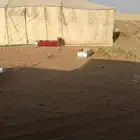 خيام للبيع