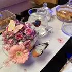 ورد مع سمك فايتر ونبتات تيتاريوم