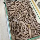 عود مروكي رقم 57 سعر الكيلو 800 ريال