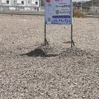 أرض تجارية بمدينة الورد بالطائف