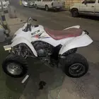 دباب 250