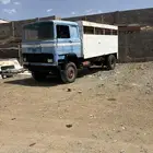 حصنيه لوري شاص اساس