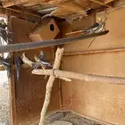 لبيع كروان
