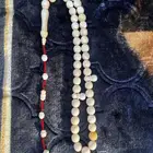سبحة ناب الفقمة
