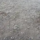 للإيجار ارض زراعيه عليه تقديم منصة احكام