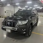 برادو