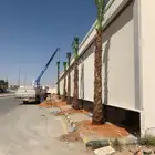 واشنطني نخل زينه جميع المقاصات