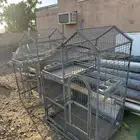 اقفاص طيور