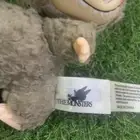 لابوبو الأصلي