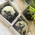 توزيعات خاروف العيد