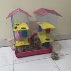 هامستر للبيع