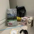 انثى 9 شهور 600 كلها مع مستلزماتها وقابل لسوم