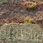 بلوبنك ناعم 13 ريال