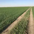متعهد نقليات نوفر الشاحنات بجميع انواعها