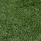 عشب ارضي مقاس 3في 6 سعر البيع ( 350) غير قابل للتفاوض