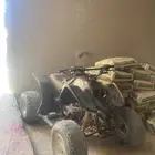 دباب سويدي