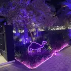 خطاط2030