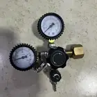 سمك الزينه