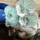 تمر علف