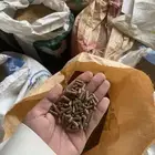 مكعب الماشية ناف فاخر 13